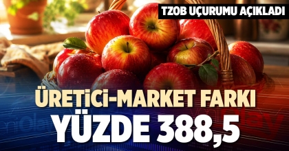 ÜRETİCİ-MARKET FARKI YÜZDE 388,5