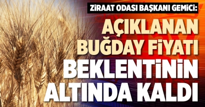 “AÇIKLANAN BUĞDAY FİYATI BEKLENTİNİN ALTINDA KALDI”