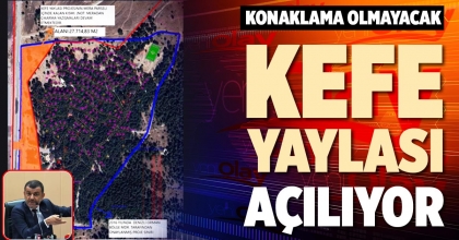 KEFE YAYLASI AÇILIYOR