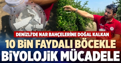 10 BİN FAYDALI BÖCEKLE BİYOLOJİK MÜCADELE