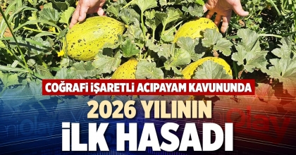 COĞRAFİ İŞARETLİ ACIPAYAM KAVUNUNDA 2026 YILININ İLK HASADI