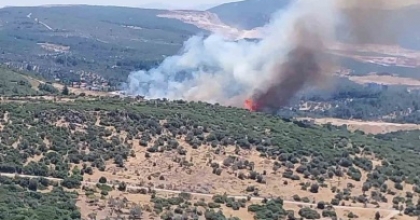İZMİR’DE ORMAN YANGININA HAVADAN VE KARADAN MÜDAHALE
