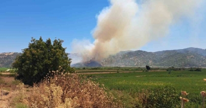 SÖKE’DE ZİRAİ ALANDA YANGIN
