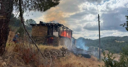 AHIRDA ÇIKAN YANGIN ORMANA SIÇRADI, BÜYÜMEDEN SÖNDÜRÜLDÜ
