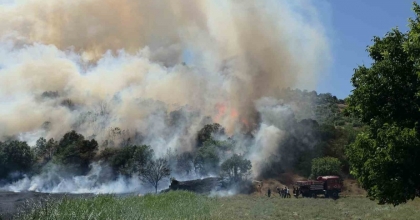 DOMANİÇ’TE TARLADA BAŞLAYAN YANGIN ORMANA SIÇRADI
