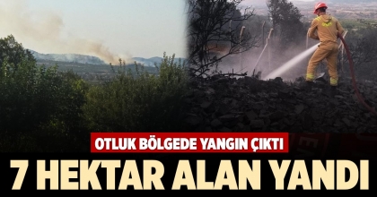 7 HEKTAR ALAN YANDI