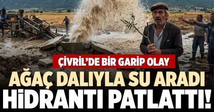 AĞAÇ DALIYLA SU ARADI HİDRANTI PATLATTI!