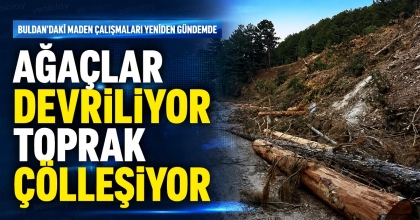 AĞAÇLAR DEVRİLİYOR TOPRAK ÇÖLLEŞİYOR