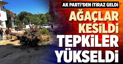 AĞAÇLAR KESİLDİ TEPKİLER YÜKSELDİ