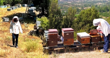 ARICILAR GÜÇLÜ DESTEKLE ÜRETİME TEŞVİK EDİLİYOR