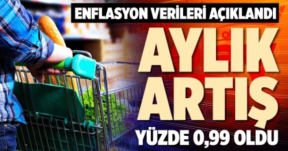 AYLIK ARTIŞ YÜZDE 0,99 OLDU
