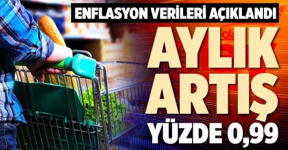 AYLIK ARTIŞ YÜZDE 0,99 OLDU