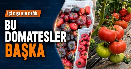 BU DOMATESLER BAŞKA