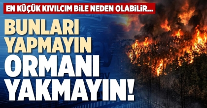 BUNLARI YAPMAYIN ORMANI YAKMAYIN!