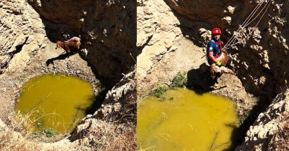 ÇUKURA DÜŞEN KEÇİYİ İTFAİYE KURTARDI