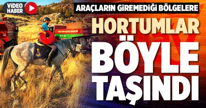 HORTUMLAR BÖYLE TAŞINDI