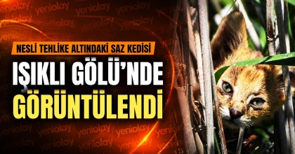 IŞIKLI GÖLÜ'NDE GÖRÜNTÜLENDİ