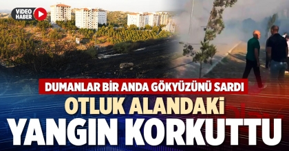 OTLUK ALANDAKİ YANGIN KORKUTTU