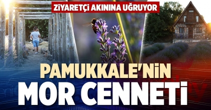 PAMUKKALE'NİN MOR CENNETİ