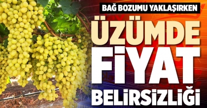 ÜZÜMDE FİYAT BELİRSİZLİĞİ