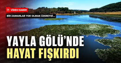 YAYLA GÖLÜ’NDE HAYAT FIŞKIRDI