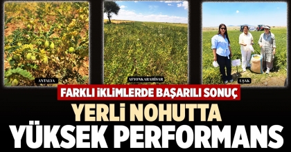YERLİ NOHUTTA YÜKSEK PERFORMANS