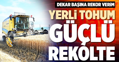 YERLİ TOHUM GÜÇLÜ REKOLTE