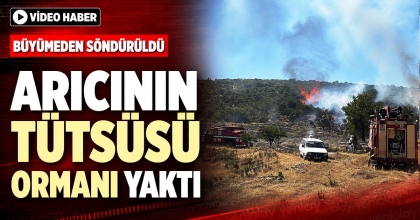 ARICININ TÜTSÜSÜ ORMANI YAKTI