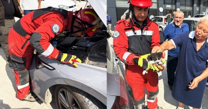 OTOMOBİLİN MOTOR BÖLÜMÜNE SIKIŞAN KEDİ KURTARILDI