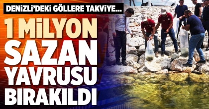 1 MİLYON SAZAN YAVRUSU BIRAKILDI