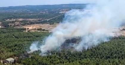 İZMİR BUCA’DA ORMAN YANGINI ÇIKTI
