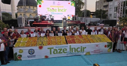 BUHARKENT TAZE İNCİR FESTİVALİ BAŞLADI