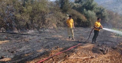 MİLAS BAFA’DA TARIM ARAZİSİNDEKİ YANGIN SÖNDÜRÜLDÜ
