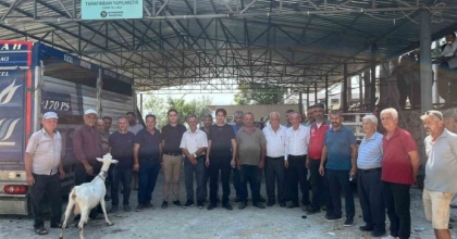 SEYDİKEMER’DE YANGINDA HAYVANLARINI KAYBEDEN ÇİFTÇİLERE KÜÇÜKBAŞ HAYVAN DESTEĞİ