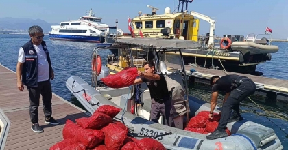 İZMİR’DE YASA DIŞI KARA MİDYE OPERASYONU: 560 KİLOGRAM MİDYE DENİZE İADE EDİLDİ
