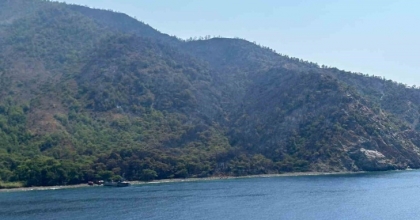 MARMARİS’TEKİ ORMAN YANGINI KONTROL ALTINA ALINDI
