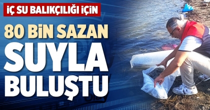 80 BİN SAZAN SUYLA BULUŞTU