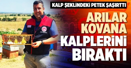 ARILAR KOVANA KALPLERİNİ BIRAKTI