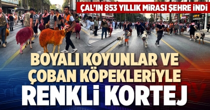 BOYALI KOYUNLAR VE ÇOBAN KÖPEKLERİYLE RENKLİ KORTEJ