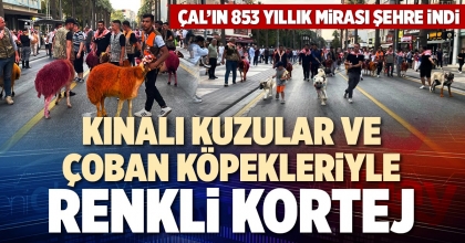 KINALI KUZULAR VE ÇOBAN KÖPEKLERİYLE RENKLİ KORTEJ