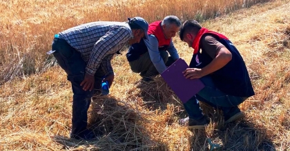 ÇAMELİ'NDE GÜVENLİ HASAT İÇİN DENETİM