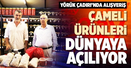ÇAMELİ ÜRÜNLERİ DÜNYAYA AÇILIYOR