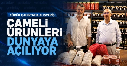 ÇAMELİ ÜRÜNLERİ DÜNYAYA AÇILIYOR