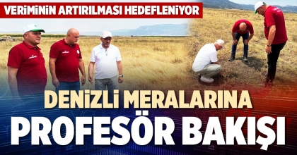 DENİZLİ MERALARINA PROFESÖR BAKIŞI