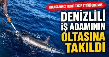 FRANSA'NIN 2 YILDIR TAKİP ETTİĞİ ORKİNOS DENİZLİLİ İŞ ADAMININ OLTASINA TAKILDI