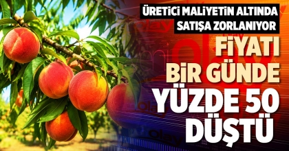 FİYATI BİR GÜNDE YÜZDE 50 DÜŞTÜ