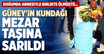 GÜNEY'İN KUNDAĞI MEZAR TAŞINA SARILDI