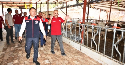 HASTALIKTAN ARİ SÜT SIĞIRI İŞLETMESİNDE İNCELEME