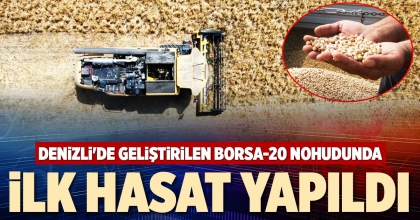 DENİZLİ'DE GELİŞTİRİLEN BORSA-20 NOHUDUNDA İLK HASAT YAPILDI