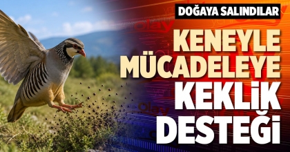 KENEYLE MÜCADELEYE KEKLİK DESTEĞİ